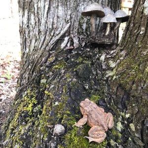 Meet your Posher, Sherry